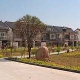 大义管理区