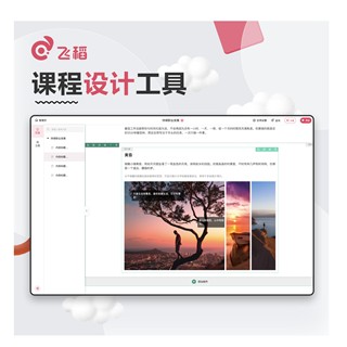 飞稻