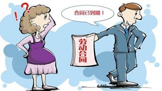 合同终止