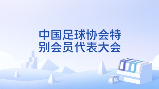 中国足球协会特别会员代表大会