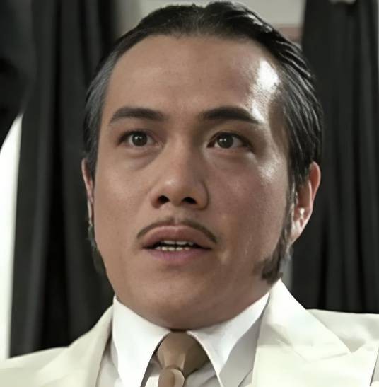 田俊（中国香港著名男演员、香港70年代著名动作明星）