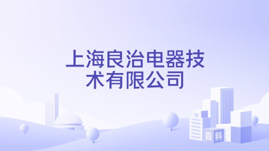 上海良治电器技术有限公司