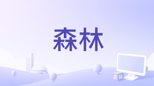 森林(2017年中国电影)