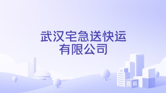 武汉宅急送快运有限公司