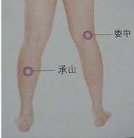 鱼腹穴