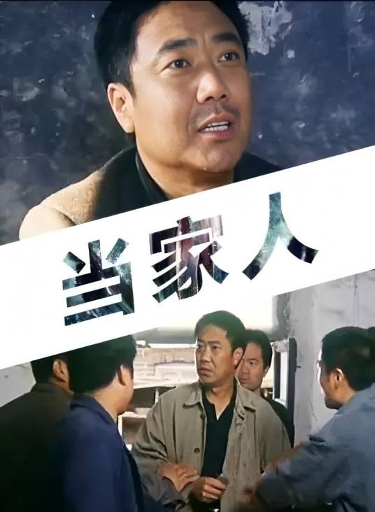 当家人（2006年上映的中国电影）
