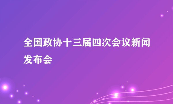 全国政协十三届四次会议新闻发布会