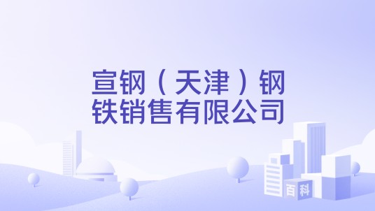 宣钢（天津）钢铁销售有限公司