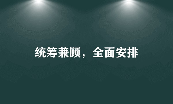 统筹兼顾，全面安排