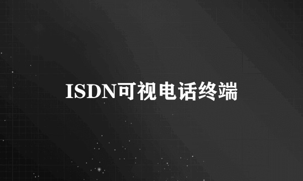 ISDN可视电话终端