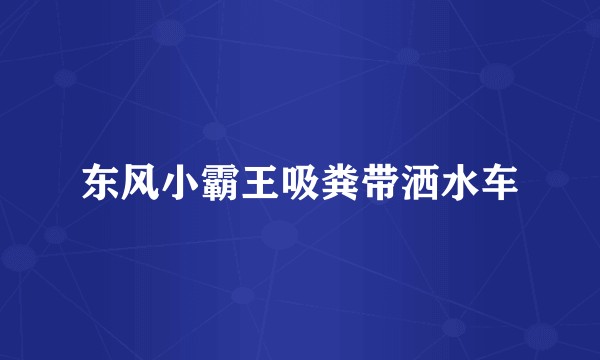 东风小霸王吸粪带洒水车