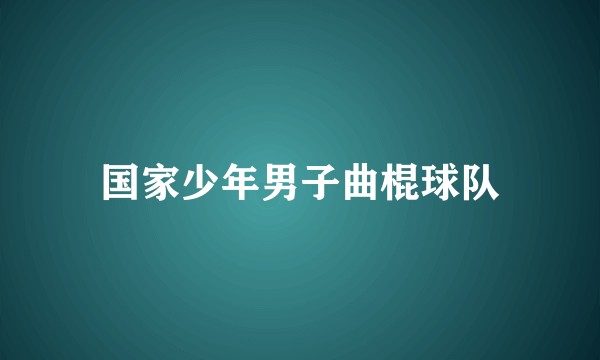 国家少年男子曲棍球队