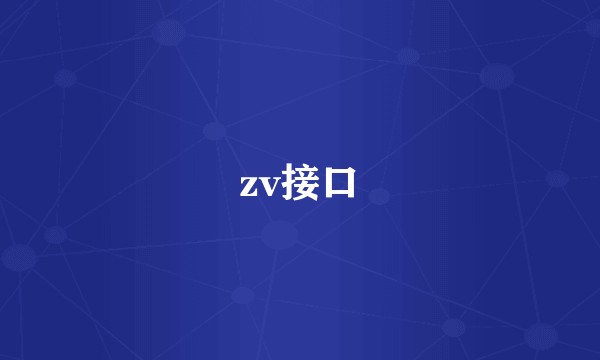 zv接口