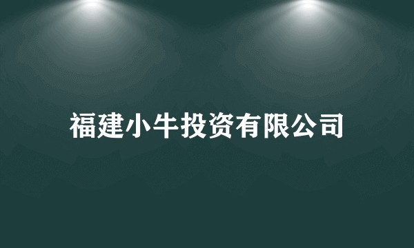 福建小牛投资有限公司