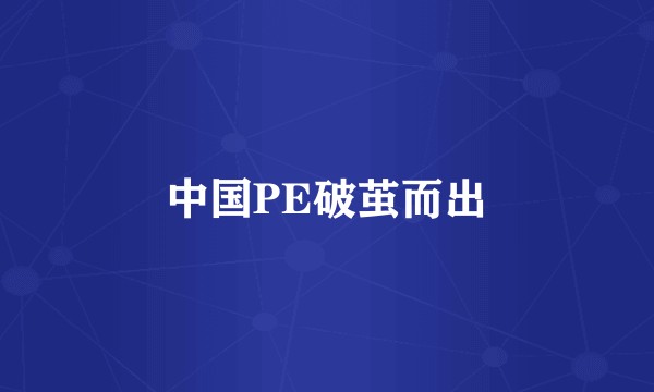 中国PE破茧而出