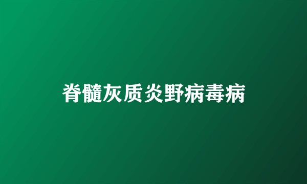 脊髓灰质炎野病毒病