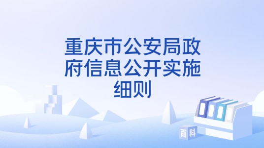 重庆市公安局政府信息公开实施细则