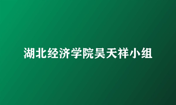 湖北经济学院吴天祥小组