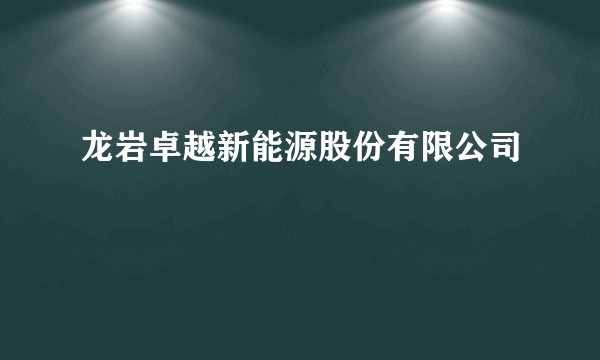 龙岩卓越新能源股份有限公司