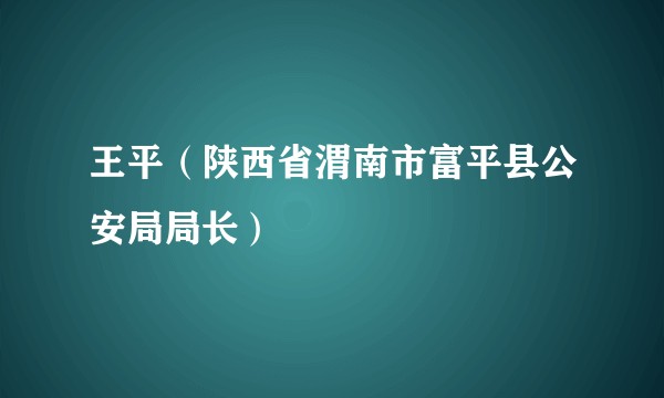 王平（陕西省渭南市富平县公安局局长）