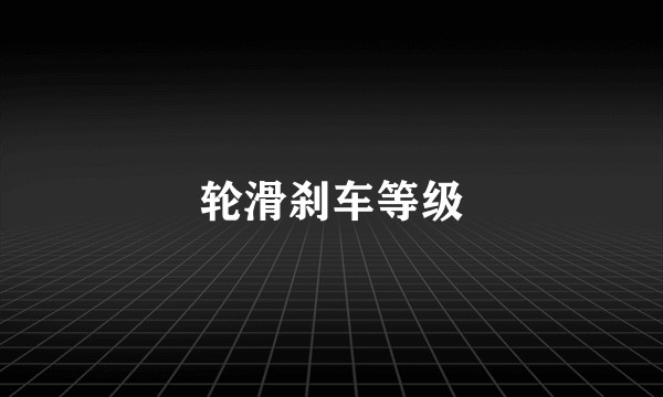 轮滑刹车等级