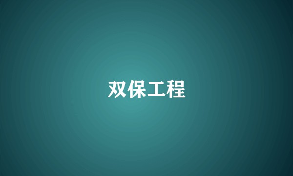 双保工程