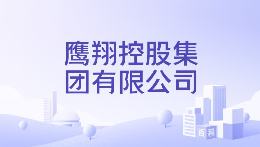 鹰翔控股集团有限公司