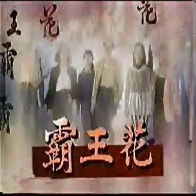 霸王花（1994年伍宗德执导的电视剧）