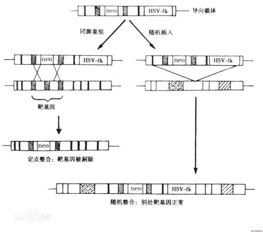 正负筛选法