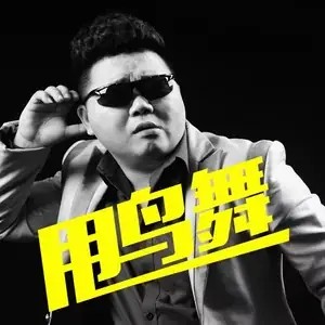 甩鸟舞（龙奔演唱的歌曲）