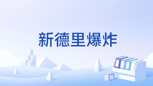 新德里爆炸