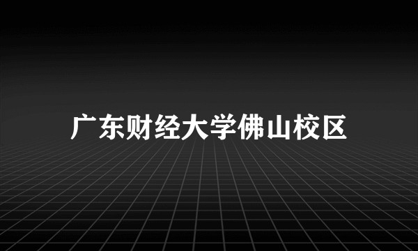 广东财经大学佛山校区