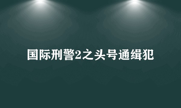 国际刑警2之头号通缉犯