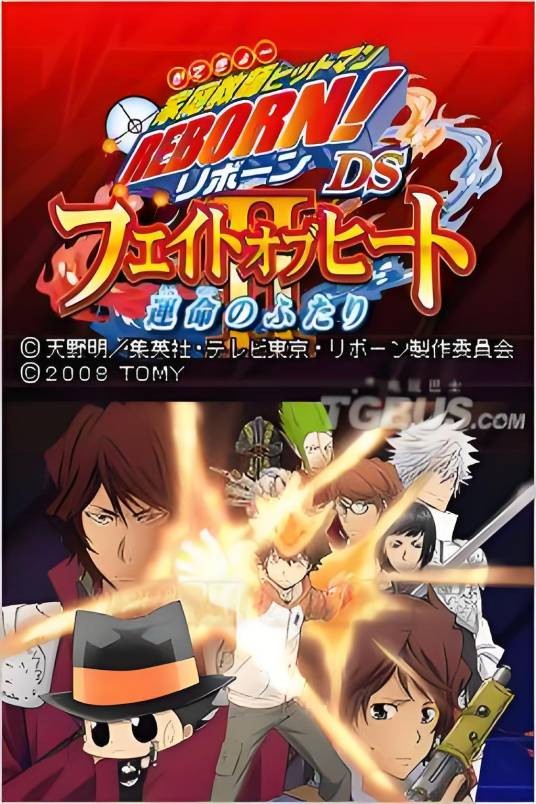 家庭教师 Hitman Reborn!火热之战2 命运之二人