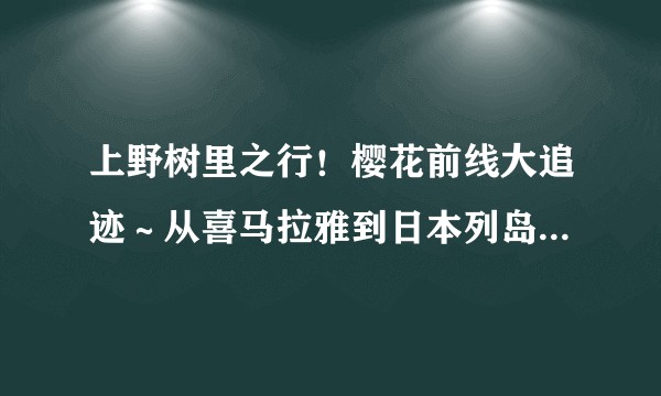 上野树里之行！樱花前线大追迹～从喜马拉雅到日本列岛5400公里的樱之路~