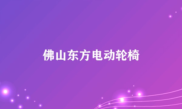 佛山东方电动轮椅