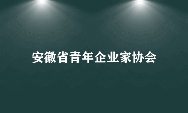 安徽省青年企业家协会