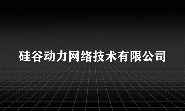 硅谷动力网络技术有限公司