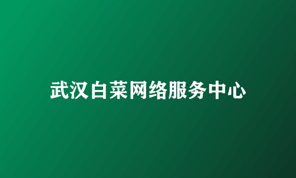 武汉白菜网络服务中心