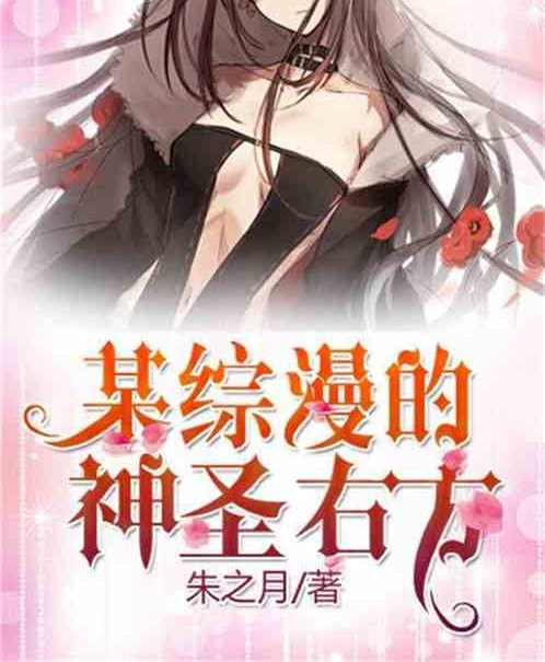某综漫的神圣右方