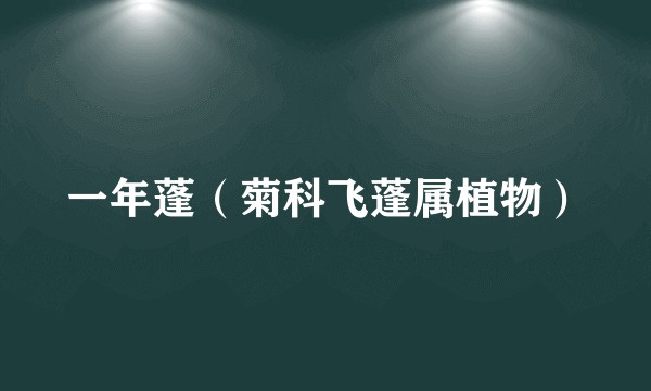 一年蓬（菊科飞蓬属植物）
