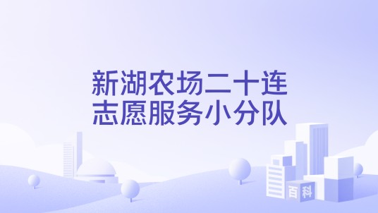 新湖农场二十连志愿服务小分队