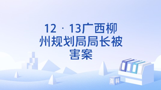 12·13广西柳州规划局局长被害案