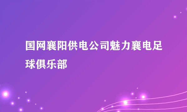 国网襄阳供电公司魅力襄电足球俱乐部