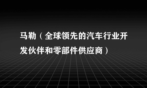 马勒（全球领先的汽车行业开发伙伴和零部件供应商）