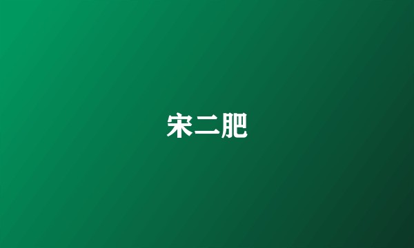 宋二肥
