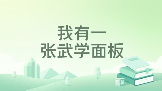 我有一张武学面板