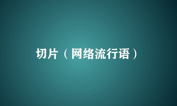 切片（网络流行语）