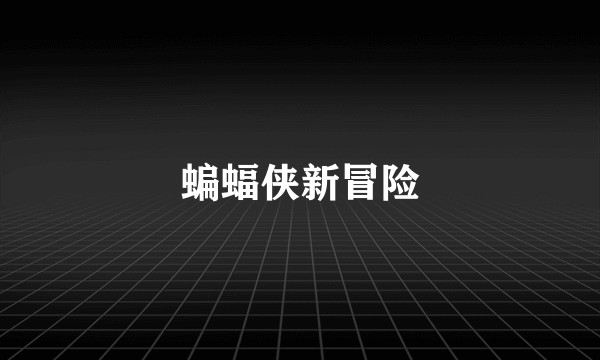 蝙蝠侠新冒险