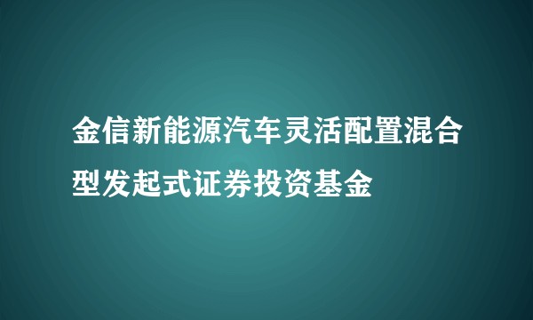 金信新能源汽车灵活配置混合型发起式证券投资基金